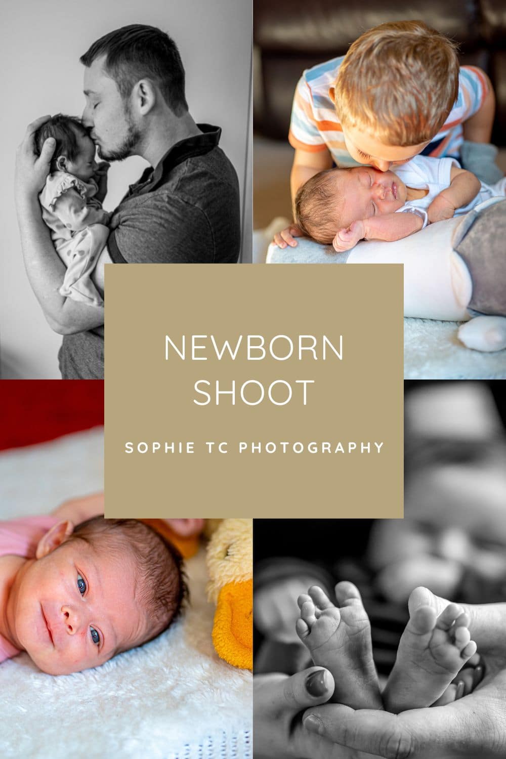 Newborn Shoots
