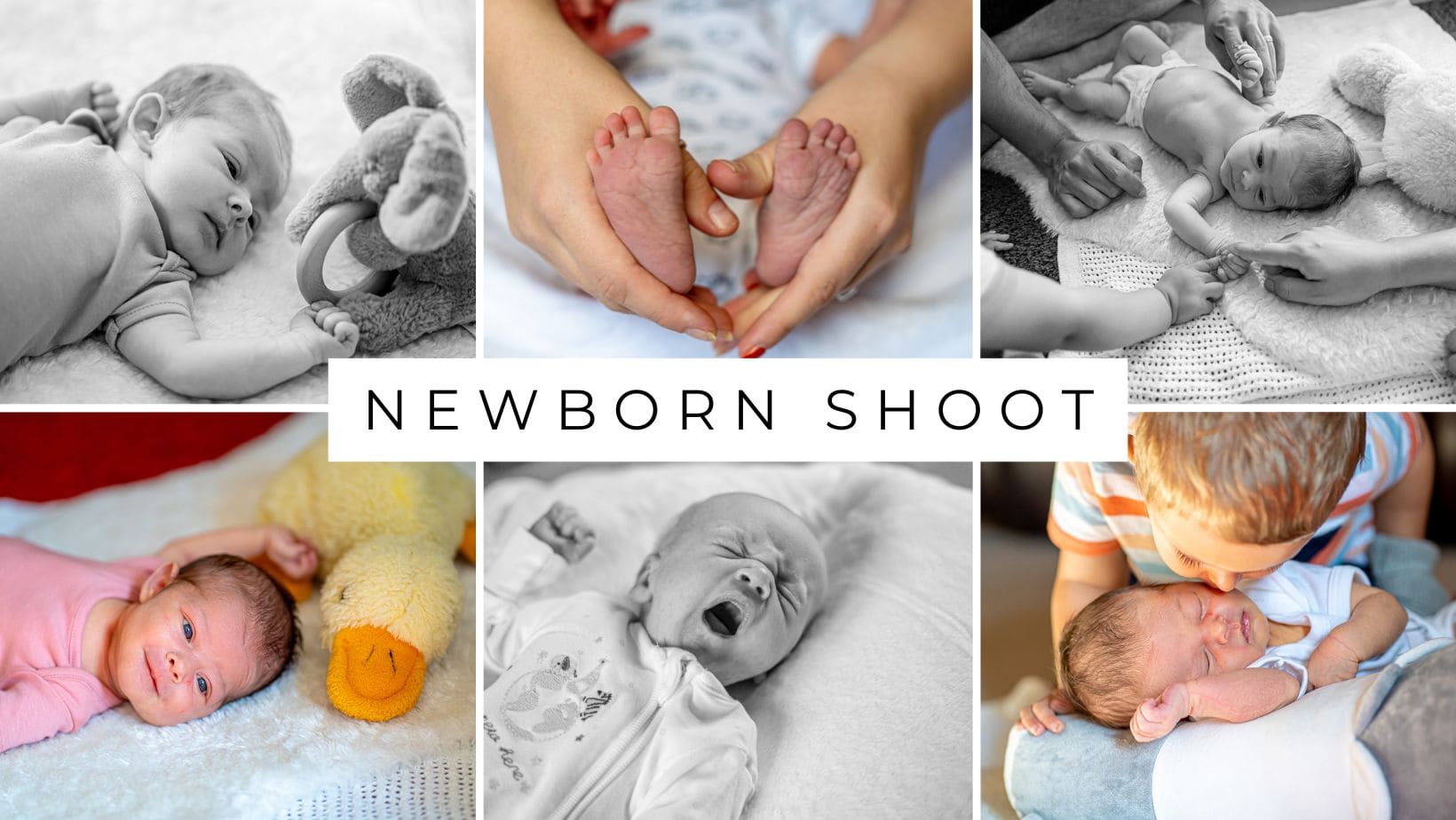 Newborn Shoots